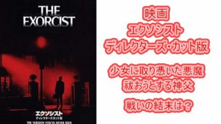 映画 ロード オブ ザ リング あらすじと感想 邪悪な魔力を秘めた指輪を捨てる旅へ あゆきプラスあるふぁ